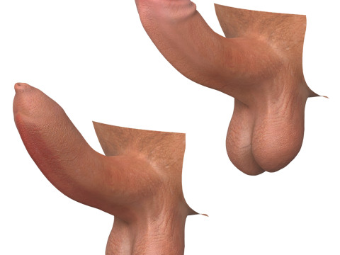 Photorealistic Uncircumcised and Circumcised Male Penis 3D Модель