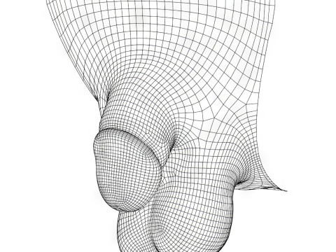 Photorealistic Very Small Male Penis 3Dモデル