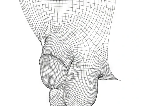 Pene maschile molto piccolo fotorealistico Modello 3D