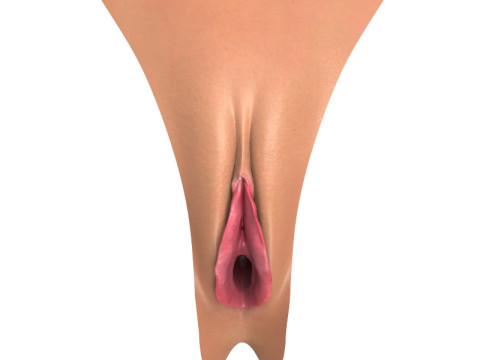 Photorealistic Women Open Vagina Modello 3D