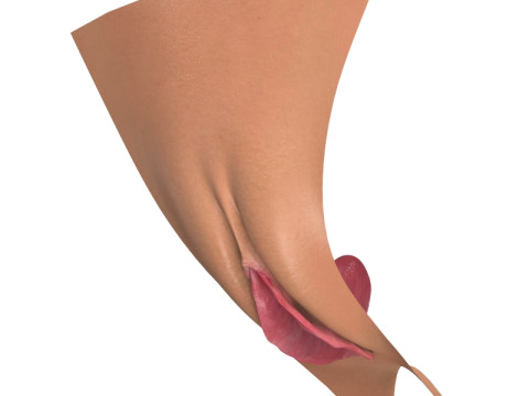 Photorealistic Women Open Vagina Modello 3D