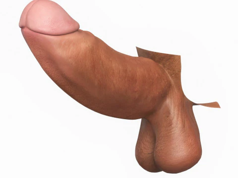 Photorealistic Long Thick Man Penis 3D Model