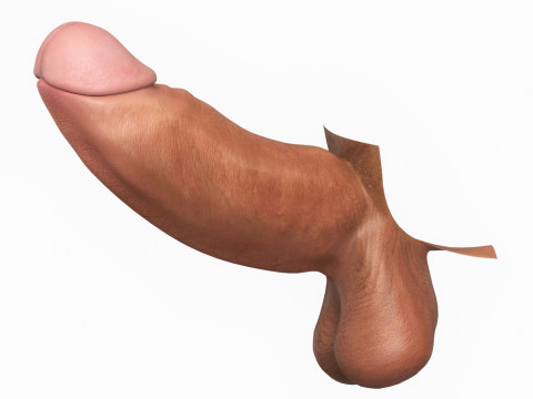 Photorealistic Long Thick Man Penis 3D Модель
