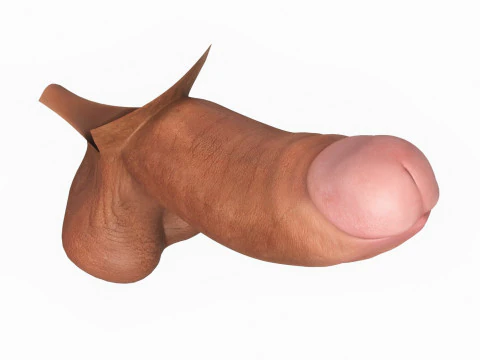 Photorealistic Long Thick Man Penis 3D Model