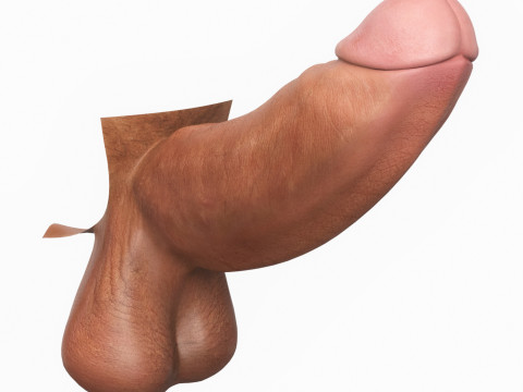 Photorealistic Long Thick Man Penis 3D Модель