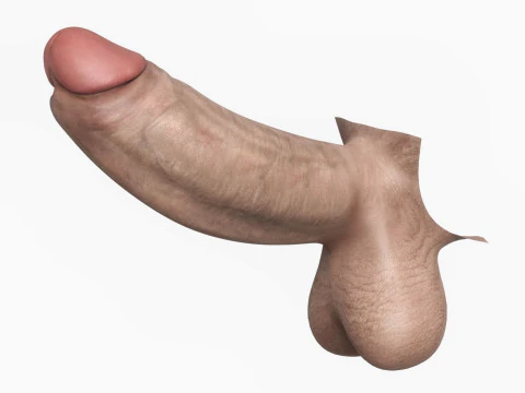 Realistic Man Monster Penis 3D Model