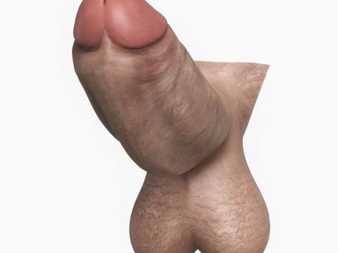 Realistic Man Monster Penis 3D Model