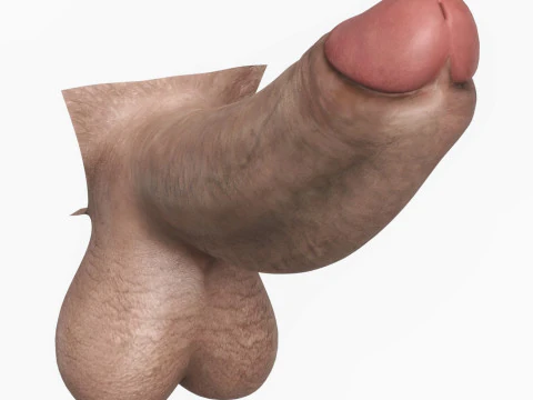 Realistic Man Monster Penis 3D Model
