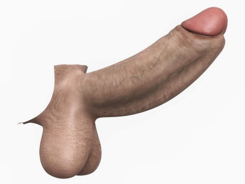 Realistic Man Monster Penis 3D मॉडल