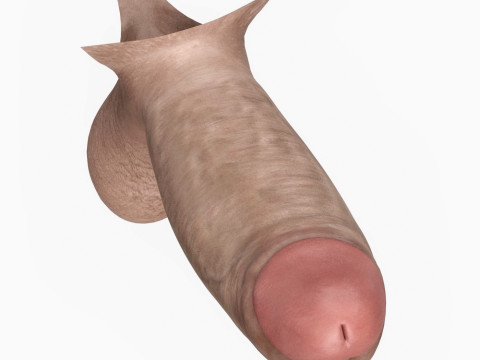 Realistic Man Monster Penis 3D मॉडल