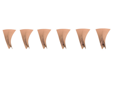 Penis and Vagina Stage Collection Modèle 3D