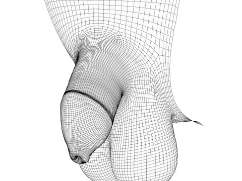 Realistic Uncircumcise Small Penis Modelo 3D
