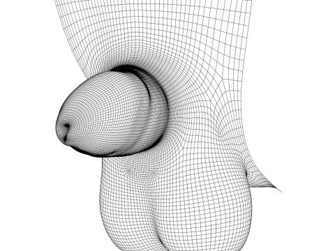 Man Small Penis Collection 3Dモデル