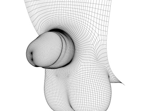 Man Small Penis Collection 3Dモデル
