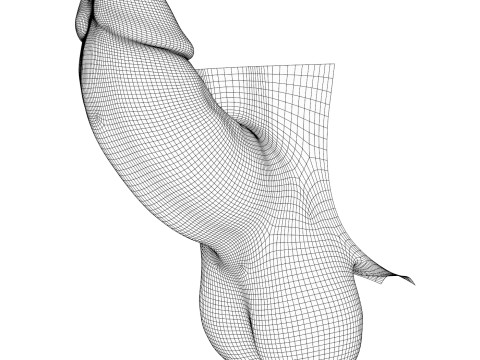 Man Small Erect Monster Penis 3D Model
