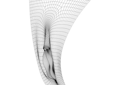 Realistic Female Vagina 3D Модель