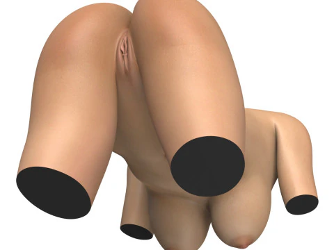 Torso di donna fotorealistico con la vagina Modello 3D