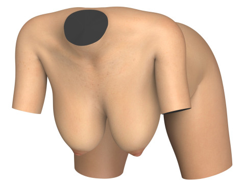 Photorealistic Woman Torso With Vagina 3D Модель