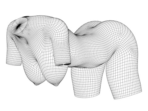 Torso di donna fotorealistico con la vagina Modello 3D