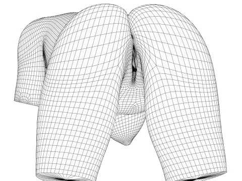 Torso di donna fotorealistico con la vagina Modello 3D