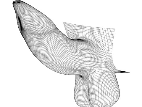 Photorealistic Uncircumcised Erect Penis 3D Model
