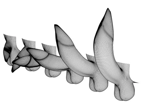 Man Uncircumcised Penis Erection Stages 3D Model