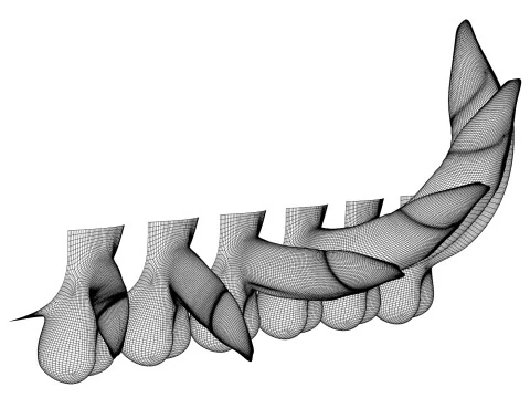 Man Uncircumcised Penis Erection Stages 3D Model