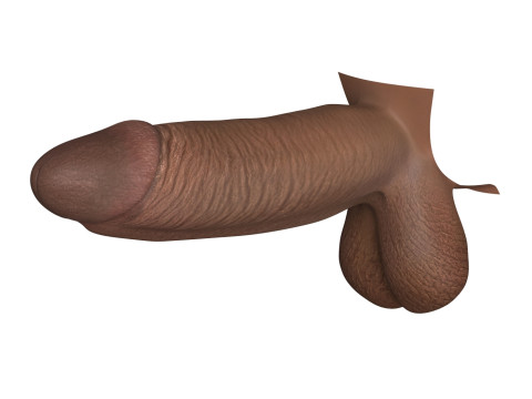 Monster Black Penis Collection 3Dモデル