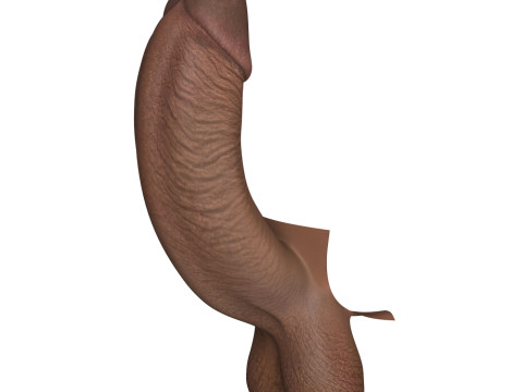 Monster Black Penis Collection 3Dモデル
