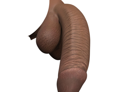 Monster Black Penis Collection 3Dモデル