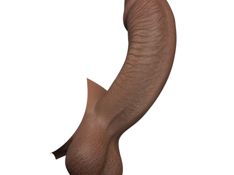 Monster Black Penis Collection 3Dモデル