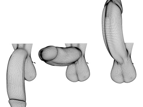 Monster Black Penis Collection 3Dモデル