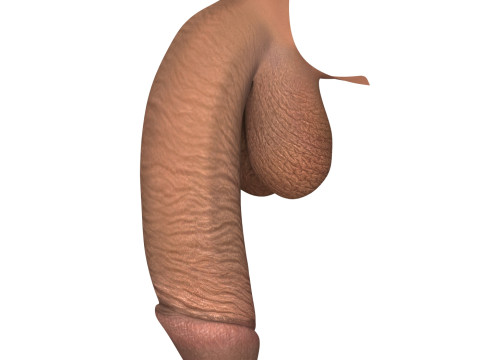 Monster Black Penis 3D Модель