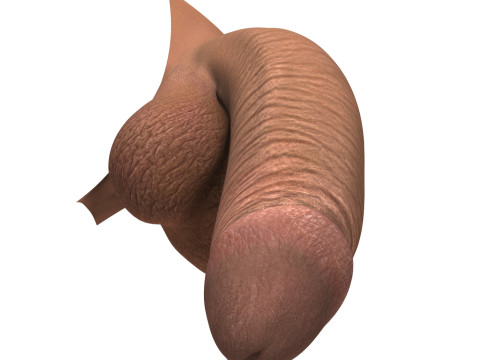 Monster Black Penis 3D Модель