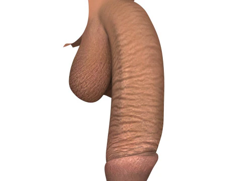 Monster Black Penis 3D Model