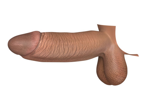 Big Black Penis 3D 모델
