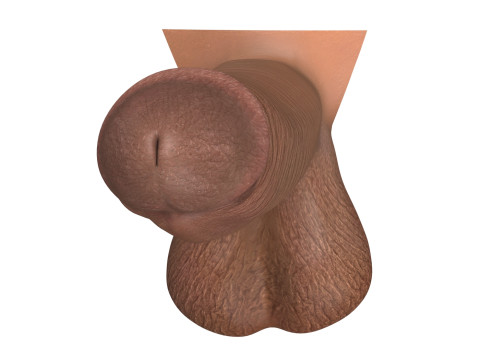 Big Black Penis 3D 모델