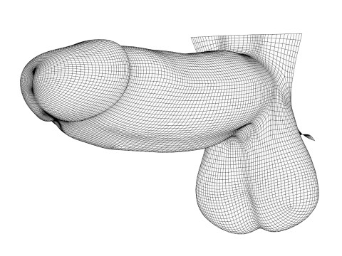 Big Black Penis 3D 모델