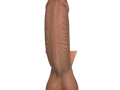 Black Erect Penis 3D Model