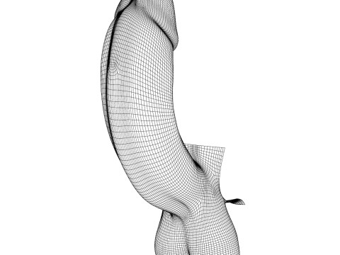 Black Erect Penis Modèle 3D