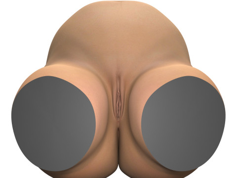 Pregnant Woman Torso With Vagina Modello 3D