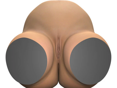 Torso einer schwangeren Frau mit Vagina 3D Modell