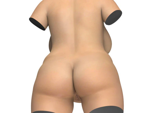 Torso einer schwangeren Frau mit Vagina 3D Modell