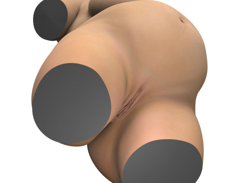 Pregnant Woman Torso With Vagina Modello 3D