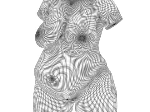 Pregnant Woman Torso With Vagina Modello 3D