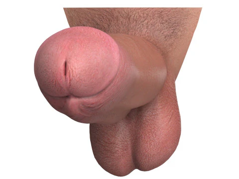 Photorealistic Big Penis 3D Model