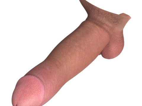Photorealistic Big Penis 3D Model