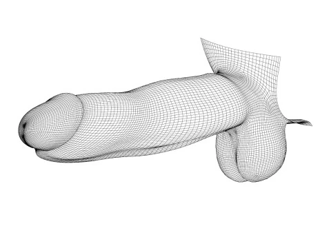 Photorealistic Big Penis 3D Model