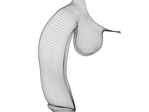Photorealistic Big Flaccid Penis 3D Model