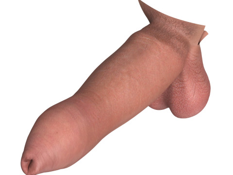 Photorealistic Uncircumcised Big Penis 3D Модель